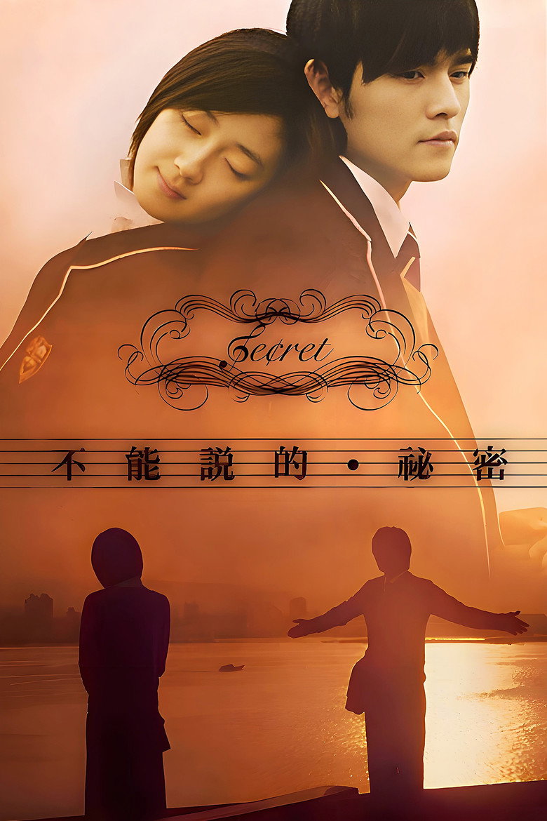 《不能说的秘密》海报