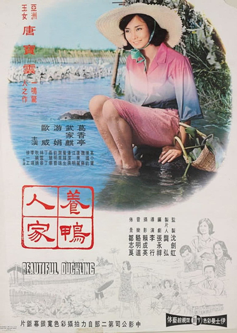 《养鸭人家》海报