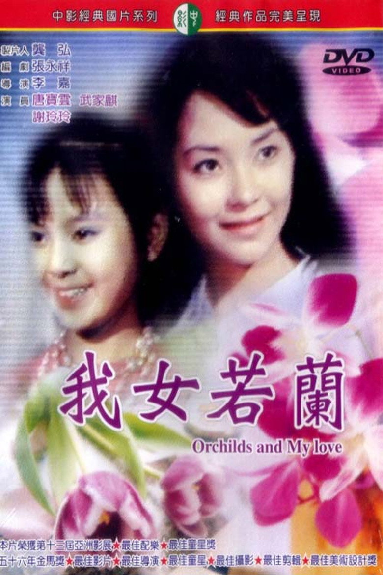 《我女若兰》海报